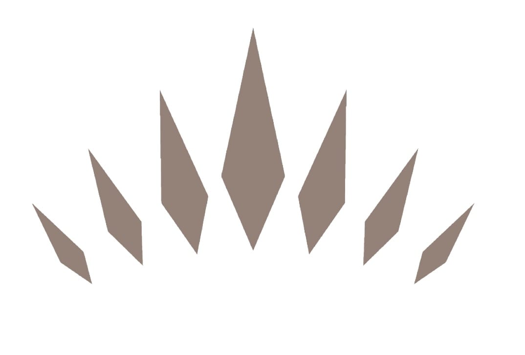 New Branding Reveal