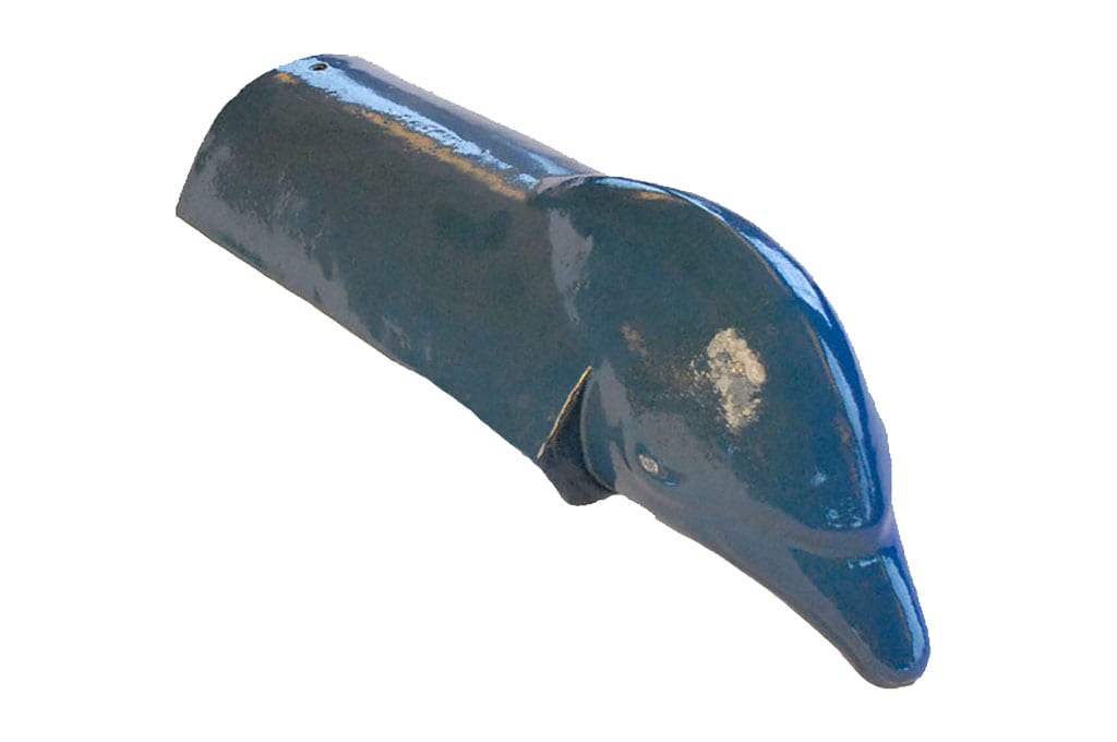 Dolphin Hip Starter